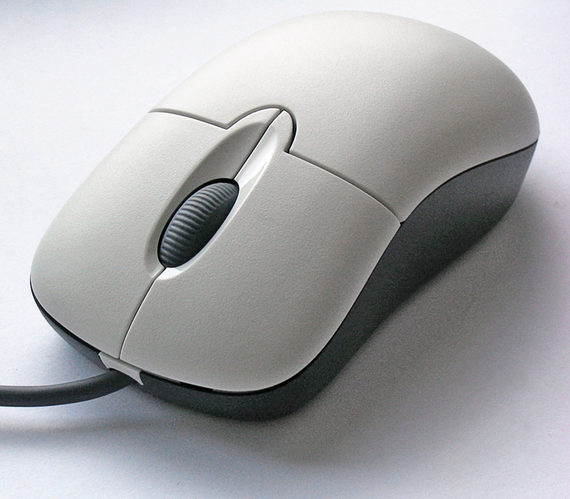 computer mouse